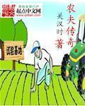 农夫传奇章节列表
