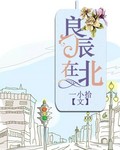良辰在北章节列表