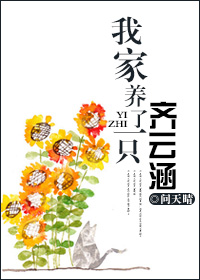 我家养了一只齐云涵章节列表