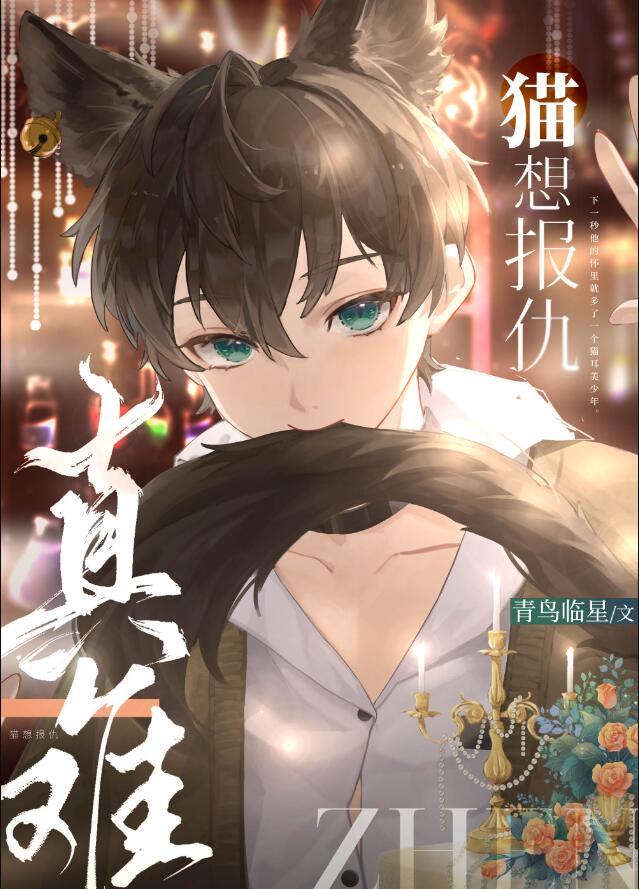 猫想报仇真难章节列表