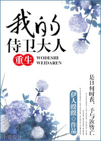 我的侍卫大人（重生）章节列表