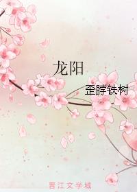 龙阳章节列表