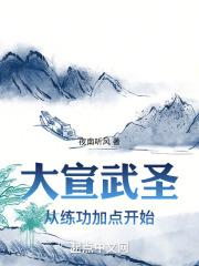 大宣武圣章节列表