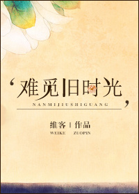 难觅旧时光章节列表