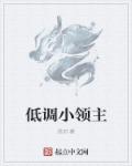 低调小领主章节列表