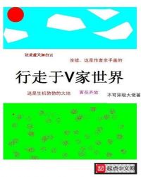 行走于V家世界章节列表