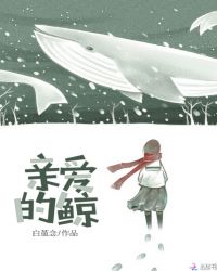 亲爱的鲸章节列表