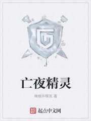 亡夜精灵章节列表