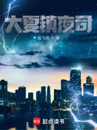 大夏镇夜司章节列表