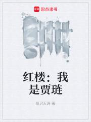 红楼：我是贾琏章节列表