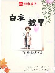 白衣披甲章节列表