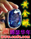 黄金眼章节列表