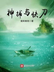 神捕与快刀章节列表
