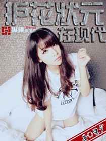 护花状元在现代章节列表