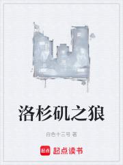 洛杉矶之狼章节列表