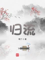 归流章节列表
