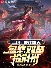 三国：卧龙姐夫，忽悠刘备抢荆州章节列表