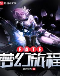 Fate梦幻旅程章节列表
