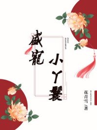 盛宠小丫鬟章节列表