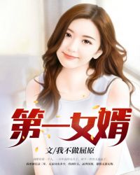 第一女婿章节列表