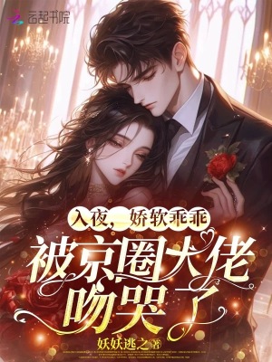 入夜，娇软乖乖被京圈大佬吻哭了章节列表