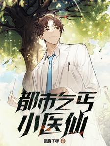 都市乞丐小医仙章节列表