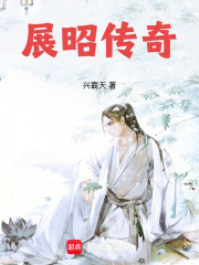 展昭传奇章节列表