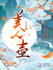 美人壶章节列表