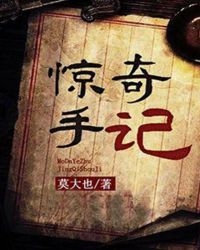 惊奇手记章节列表