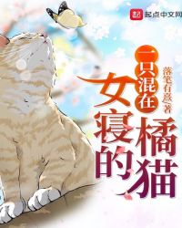 一只混在女寝的橘猫章节列表