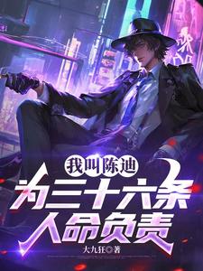 我叫陈迪，为三十六条人命负责章节列表