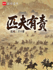 匹夫有责章节列表