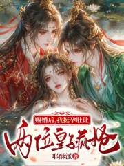 赐婚后，我挺孕肚让两位皇子疯抢章节列表