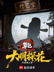 大明草包探花章节列表