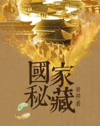 国家秘藏章节列表