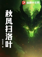 秋风扫洛叶章节列表