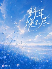 野草烧不尽章节列表