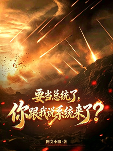 要当总统了，你跟我说系统来了？章节列表