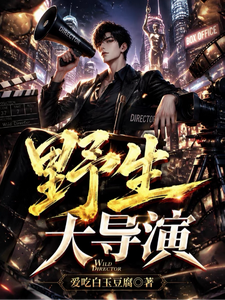 野生大导演章节列表