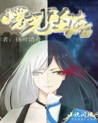 曙光坠落章节列表