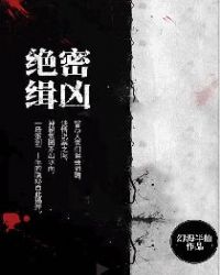 绝密缉凶章节列表