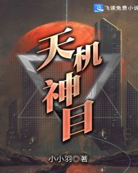 天机神目章节列表