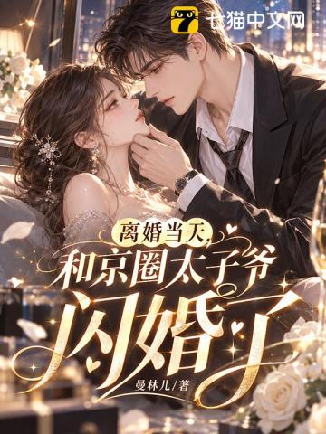离婚当天，和京圈太子爷闪婚了章节列表