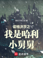 霍格沃茨之我是哈利小舅舅章节列表