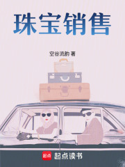 珠宝销售章节列表