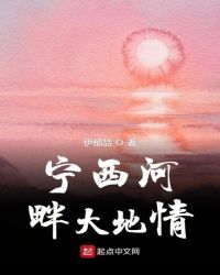 宁西河畔大地情章节列表