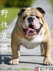 野性为王章节列表