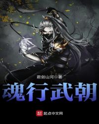 魂行武朝章节列表