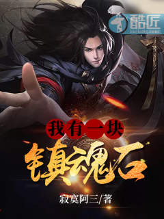 我有一块镇魂石章节列表