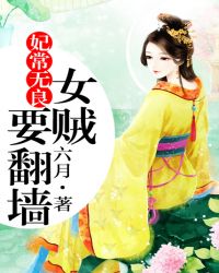 妃常无良：女贼要翻墙章节列表